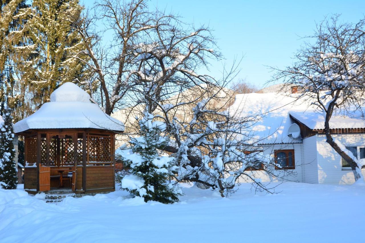 Котедж Соняшник Werchowyna Exterior foto